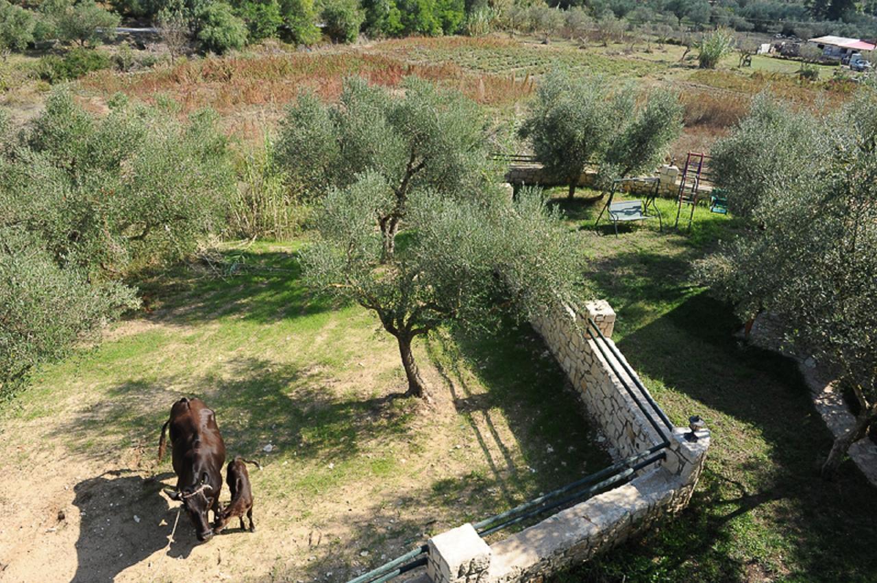 Ammos Zante Villas Vasilikí エクステリア 写真